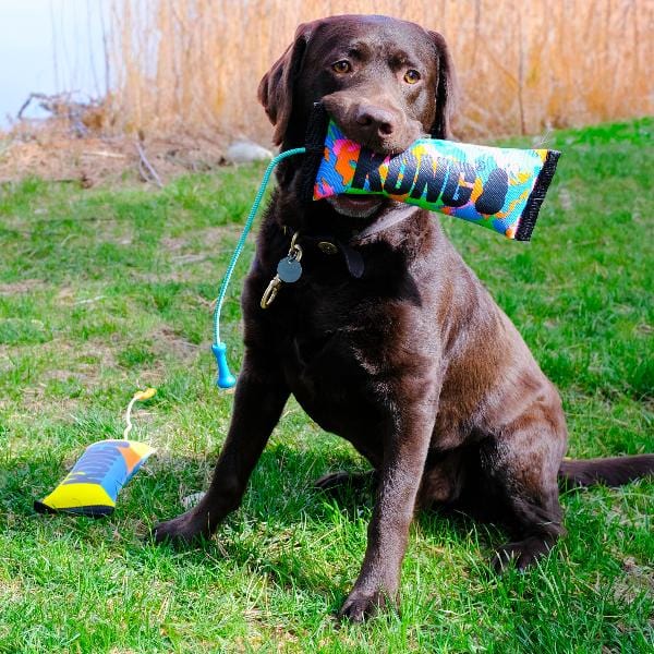 KONG Bunji High Visibility Bumper Dog Toy - Durable Fetch & Tug-of-War Play for Outdoor & Indoor Dogs