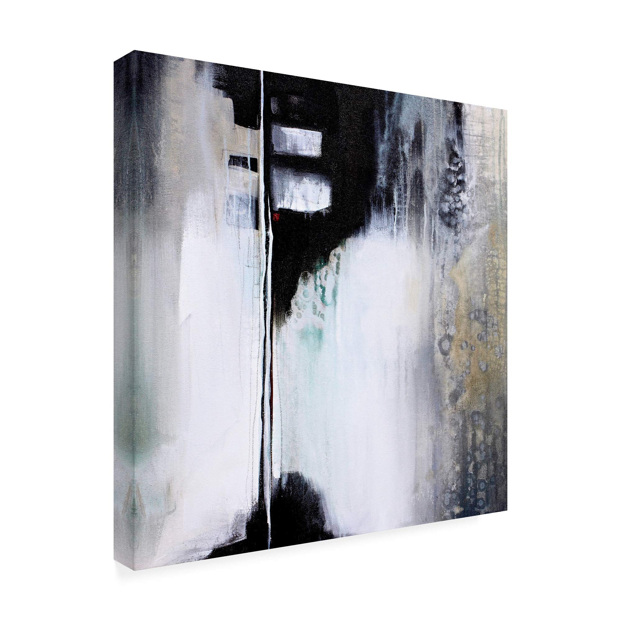 Karen Hal Black and White Drama Fine Art Print - 18x18 Inches - Modern Abstract Wall Decor for Living Room, Bedroom & Office