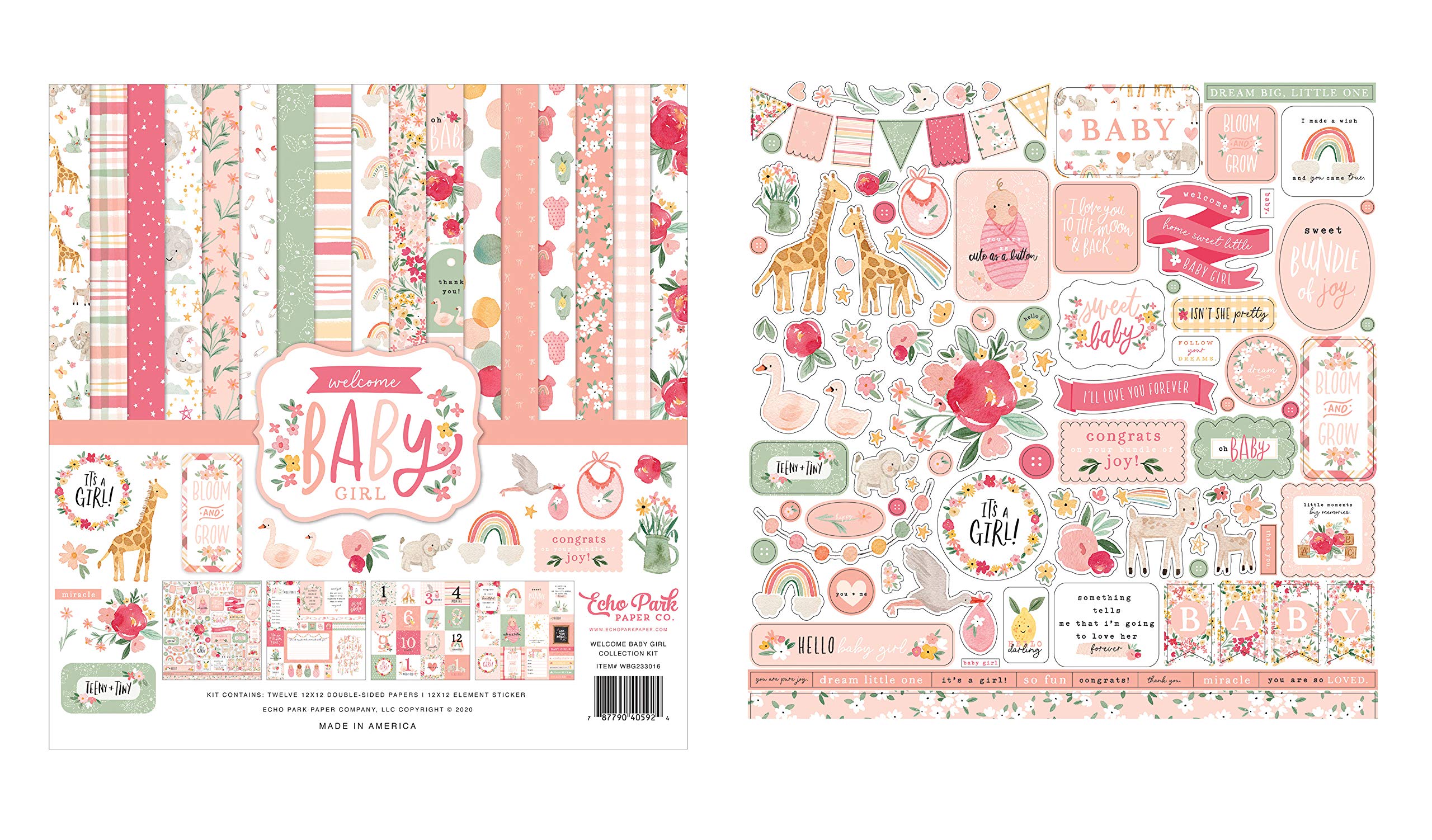 Echo Park Paper Collection Bundle - Welcome Baby Girl 12x12 Scrapbook Kit with Cardstock Elements & Sticker Sheets for Baby Shower, Nursery Decor, and Memory Book Making