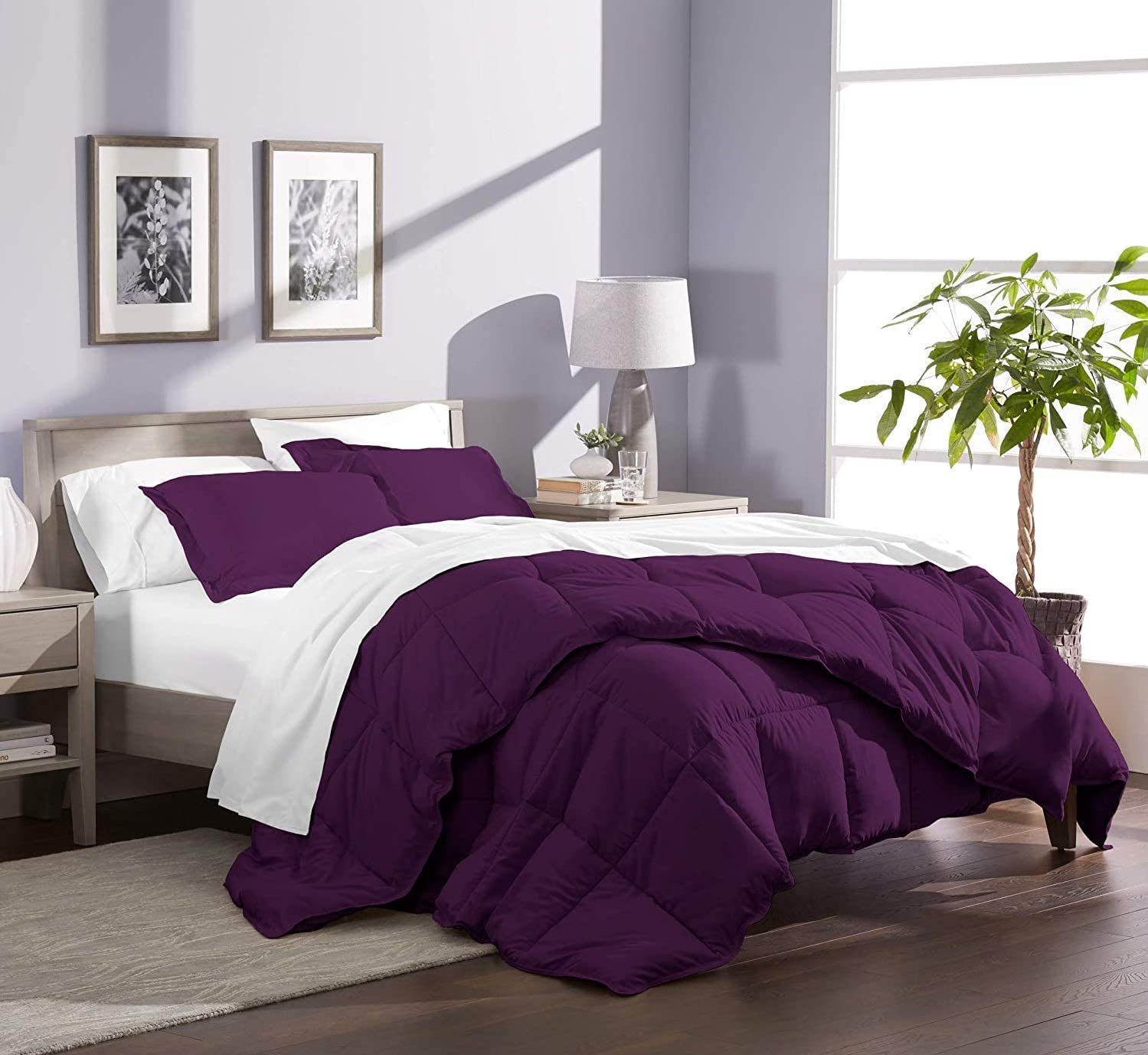 800 Thread Count 100% Egyptian Cotton Queen Size Comforter - Hotel Quality, 300 GSM All-Season Goose Down Alternative - Oversized Purple Solid Bedding for Luxury Home & Guest Room Comfort