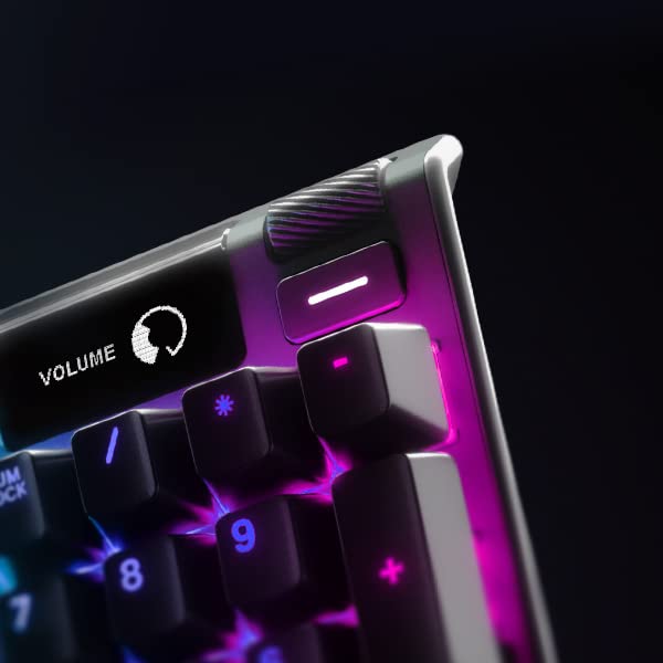 SteelSeries Apex 7 Mechanical Gaming Keyboard with OLED Display - Blue Switches - US QWERTY Layout - Perfect for FPS, MOBA & Esports Gaming