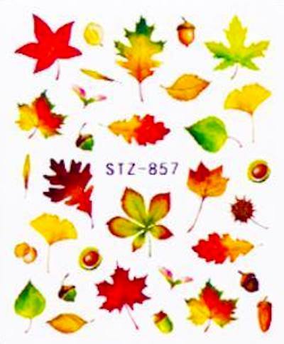 STZ Collection Nail Art Water Transfer Decals - DIY Nail Stickers for Manicure & Pedicure | Perfect for Parties, Weddings, and Special Occasions