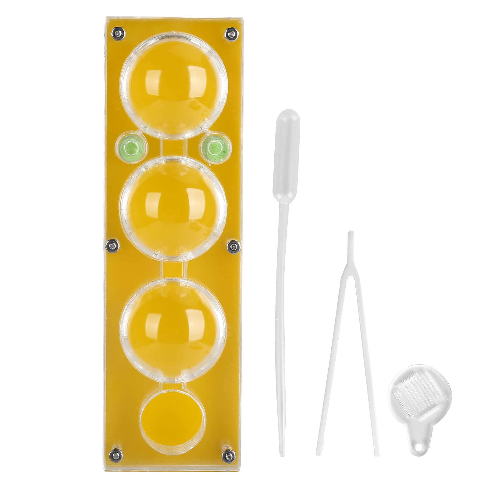Wosune Acrylic Moisturizing Breeding Box - Easy Feeding & Teaching Aid for Kids | Perfect for Classroom Learning, Science Projects & Pet Care