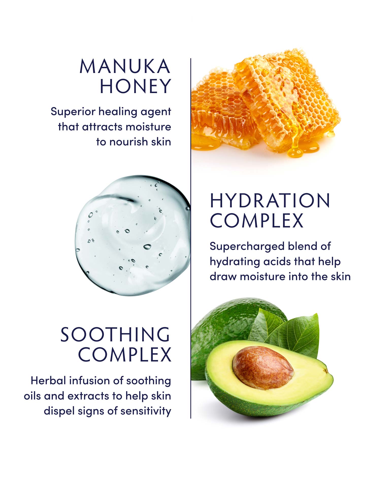 Manuka Honey Creamy Body Lotion - Ultra Hydrating Moisturizer for Dry & Sensitive Skin | Natural Skincare for Daily Use & After Sun Care