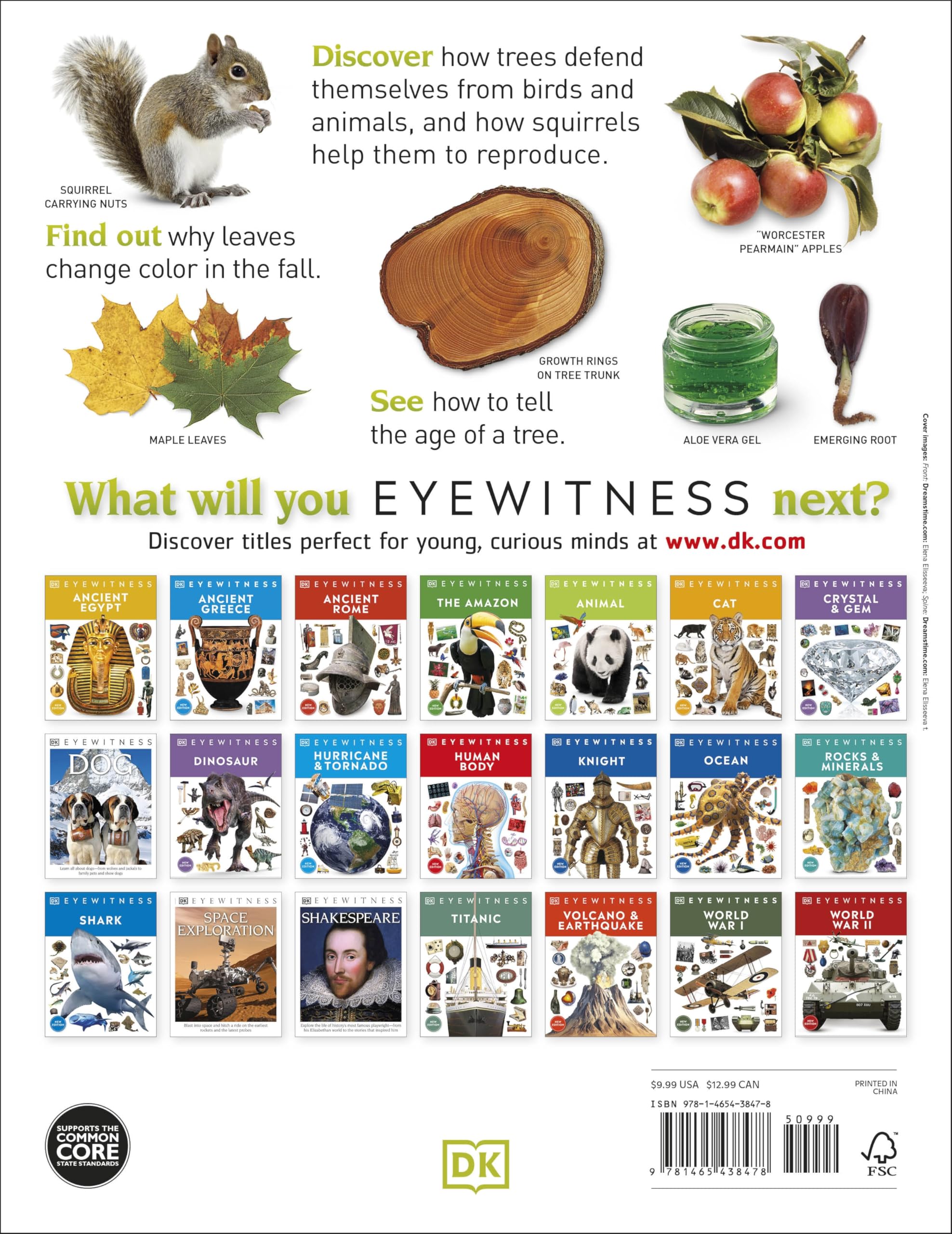 Eyewitness Tree Book: Explore the Fascinating World of Trees from Seeds to Forest Giants | DK Eyewitness Nature Guide | Perfect for Kids Learning & Nature Enthusiasts