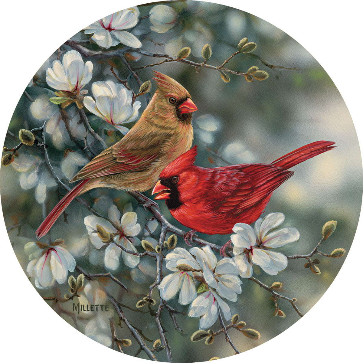 St. Louis Cardinals Team Logo Coasters - Set of 4 Absorbent Cork-Backed Drink Coasters for Beer, Wine & Coffee - Perfect for Game Day, Home Bar & Office Decor