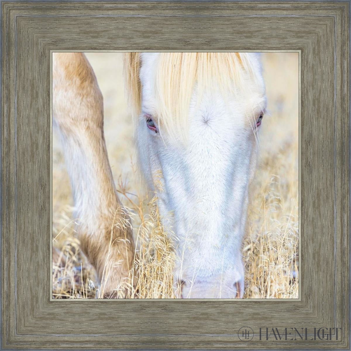 Dry Grass by Greg Sargent - Premium Handcrafted Home Decor for Rustic & Farmhouse Style - Perfect for Wall Art, Shelf Displays & Cozy Living Room Decor