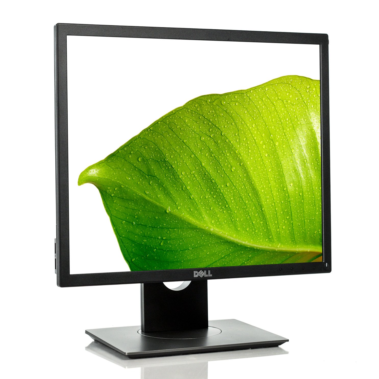 Dell P1917S 19-inch LCD Monitor - 1280x1024 Resolution, VGA & DisplayPort, Ultra-Thin Bezels - Perfect for Office Work, Gaming, and Home Entertainment