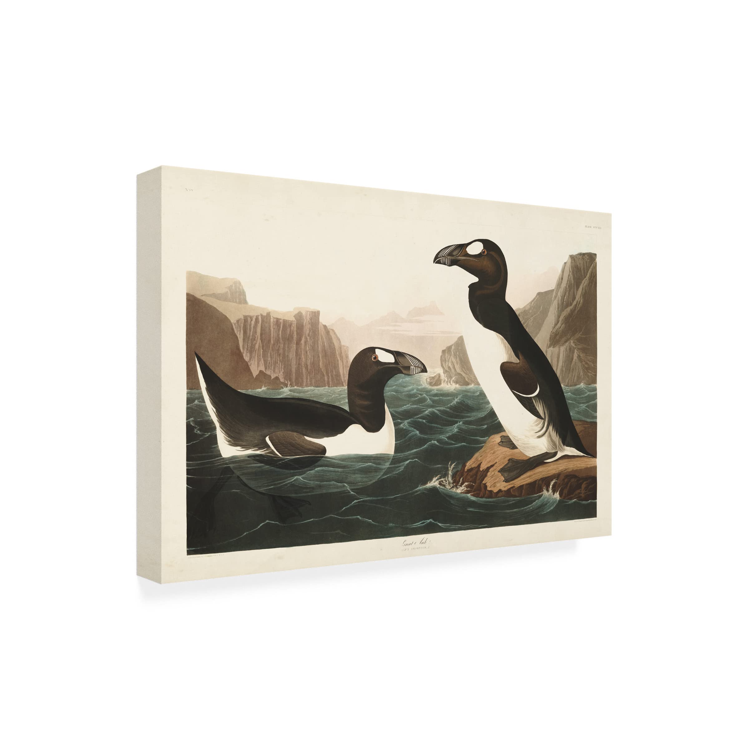 Trademark Fine Art 'Great Auk' Canvas Print by John James Audubon - 12x19 Inch Wildlife Bird Painting - Perfect for Living Room, Bedroom & Office Decor