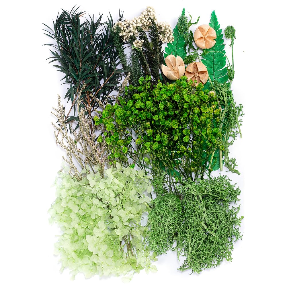 Pressed Flowers Bulk - Natural Mini Colorful Dried Flowers & Leaves for DIY Crafts, Resin Molds, Soap Making, Candles, Scrapbooking - Decorative Green Floral Supplies for Home Decor, Wedding, Gift Wrapping