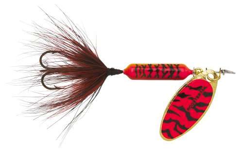 Fluorescent Red Black Tiger