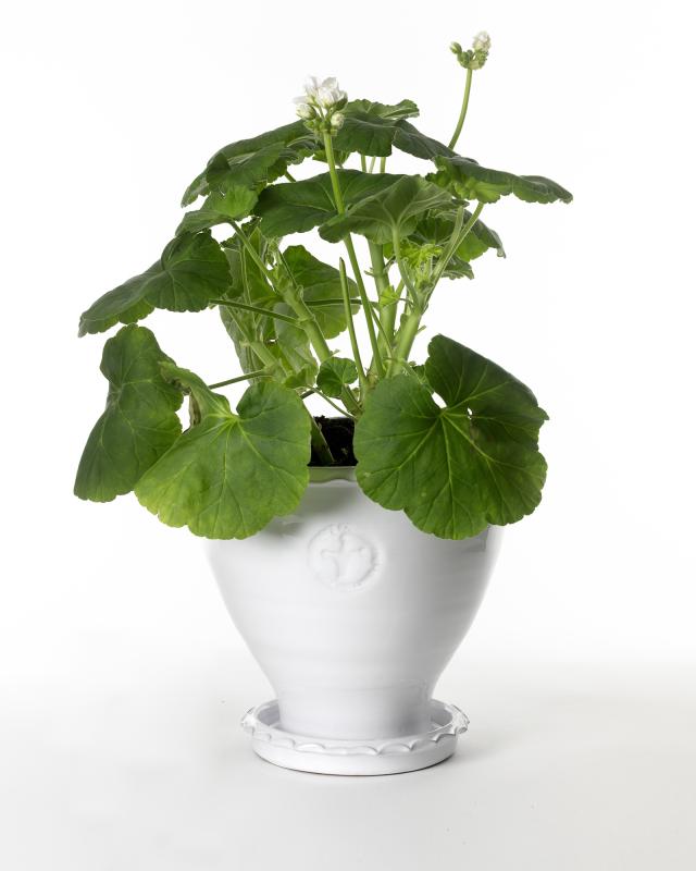 Kruka Sturehof Adelcrantz 21cm White Ceramic Flower Pot - Perfect for Indoor Plants, Succulents, and Home Decor