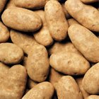 Fresh Idaho Russet Potatoes - Premium Quality, 4 Pound Case - Perfect for Baking, Mashing & Roasting