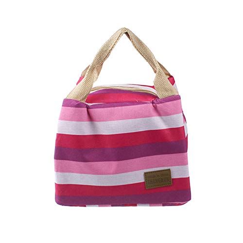 Insulated Lunch Bag with Zipper - Minimalist Picnic Pouch, Food Storage Tote & Bento Box Carrier for Work, School & Outdoor Activities