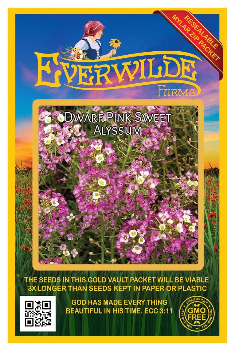 2000 Dwarf Pink Sweet Alyssum Wildflower Seeds - Everwilde Farms Gold Vault Jumbo Seed Packet for Garden Borders, Rock Gardens & Container Planting