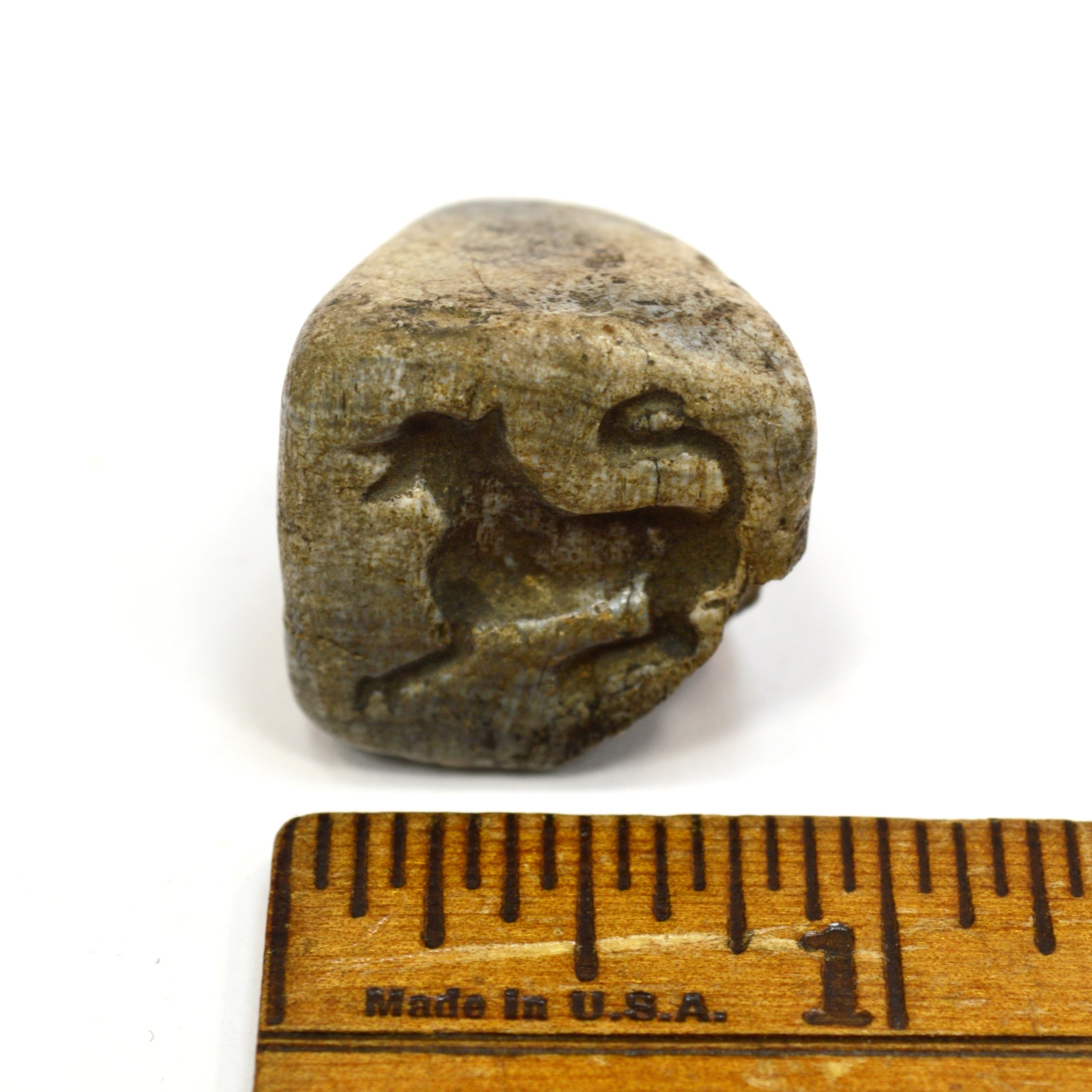Ancient Near East Steatite Conoid Seal Stamp - Authentic Tel Megiddo Artifact with Dog/Cat/Hyena Animal Carving | Perfect for Archaeology Collectors, History Enthusiasts & Ancient Artifact Displays