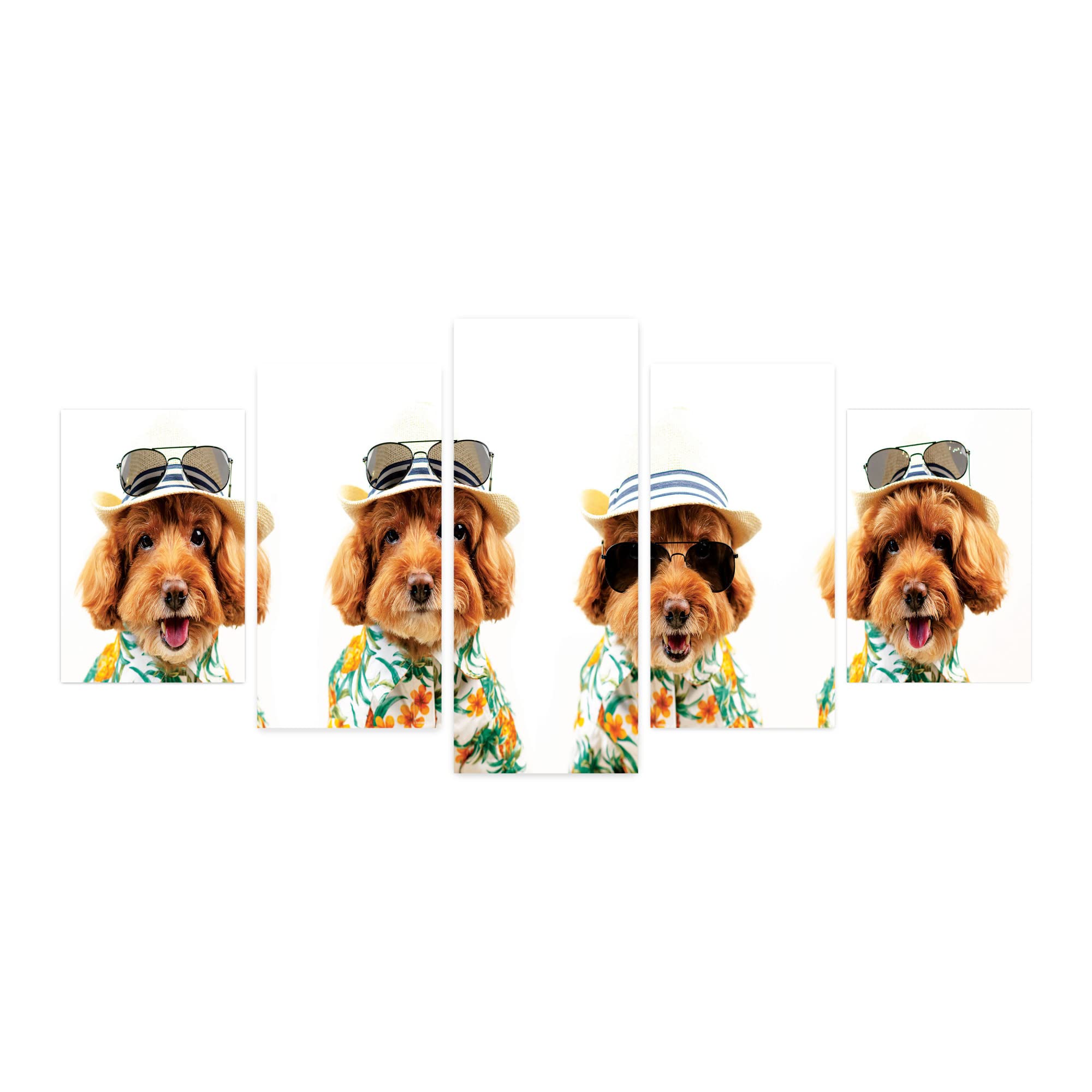 Ambesonne 5-Panel Acrylic Glass Wall Art - Funny Poodle Dog in Hawaiian Shirt with Glasses & Hat - Summer Vacation Theme - 60
