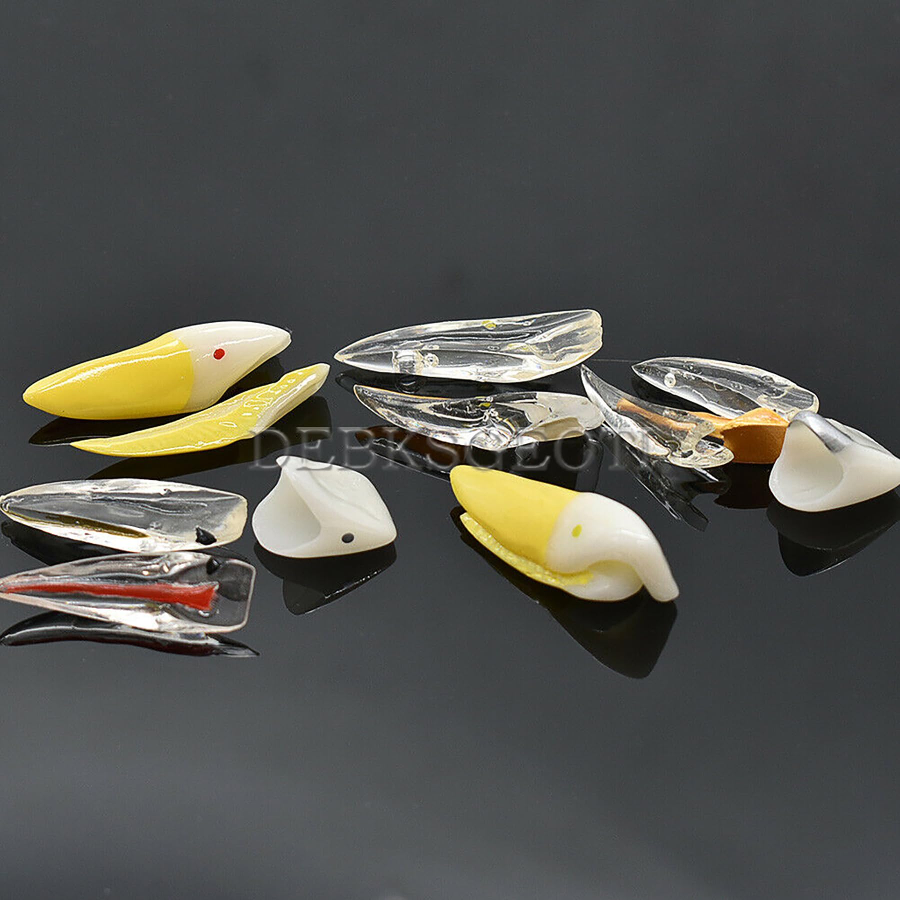 Dental Typodont Model for Caries Treatment - M4008 Anatomical Demonstration Kit for Incisor & Diseased Teeth | Dental Education, Student Practice & Clinical Training