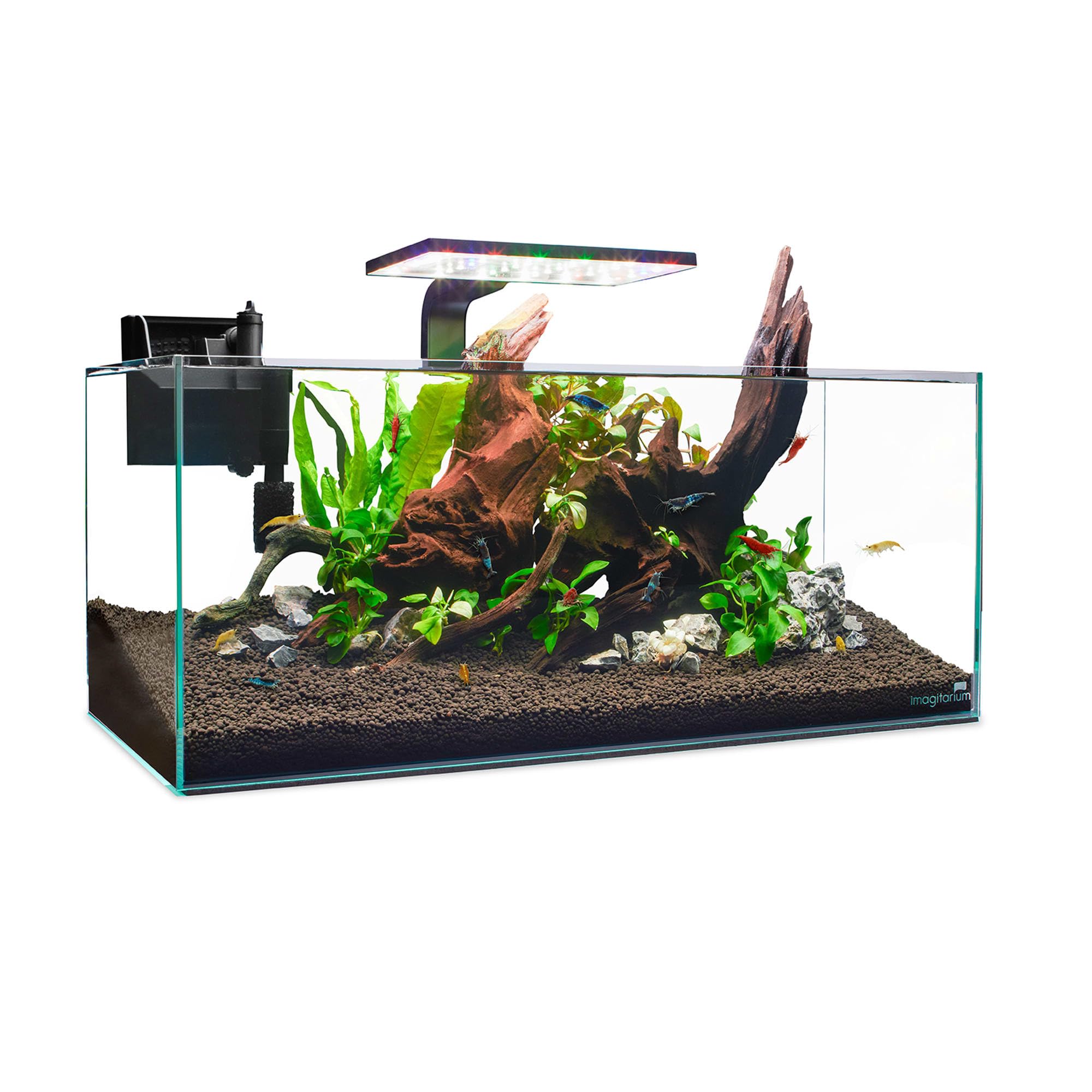 Imagitarium 6.8 Gallon Shallow Glass Aquarium Tank for Shrimp & Aquatic Plants - Perfect for Nano Shrimp Habitat, Betta Fish Tank, or Live Plant Aquascaping