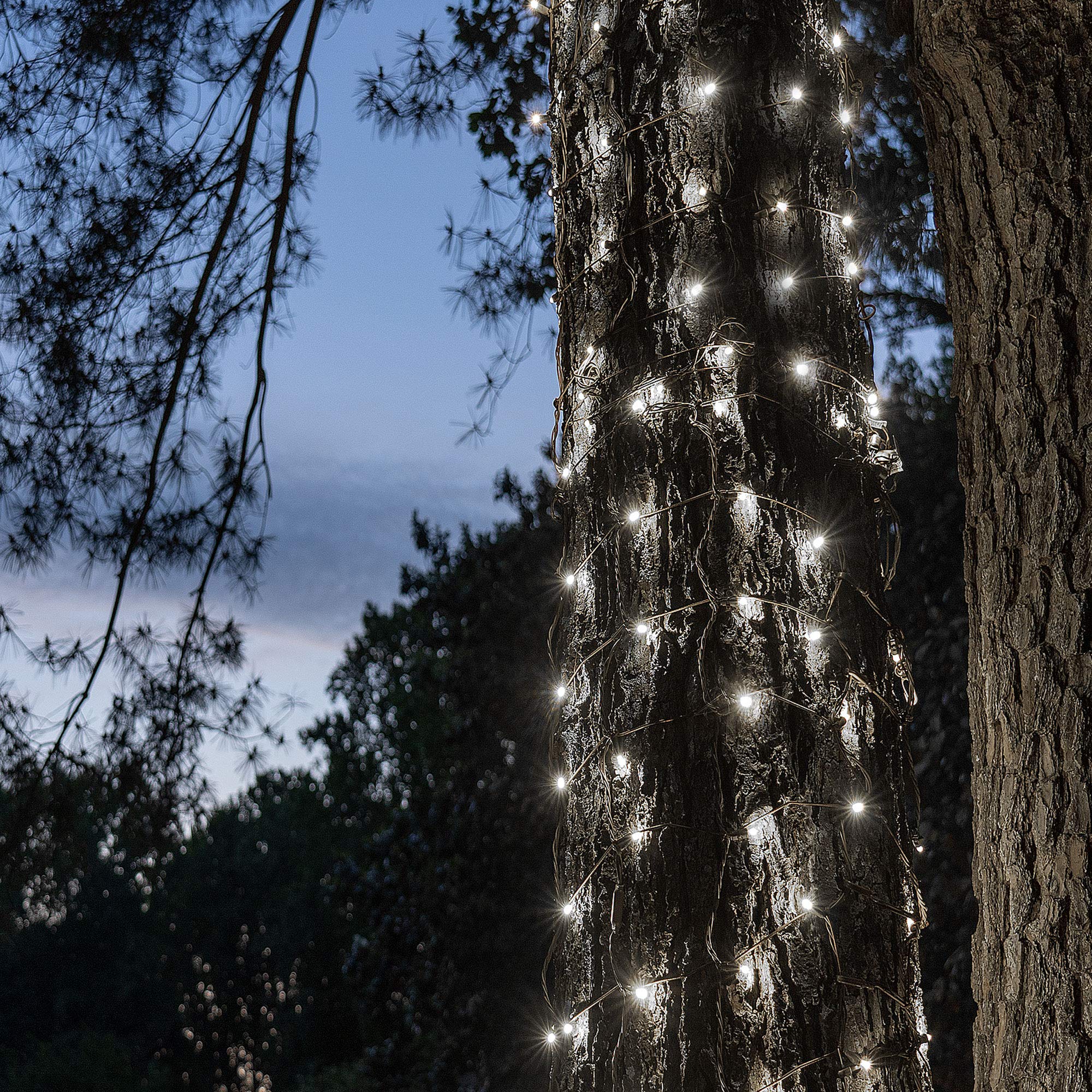 StretchNet Pro Expandable Christmas Net Lights - 50 LED Cool White Tree & Column Wrap Lights (14