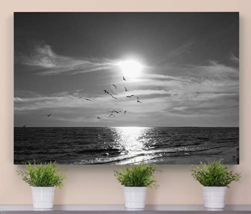 Monochrome Sunset
