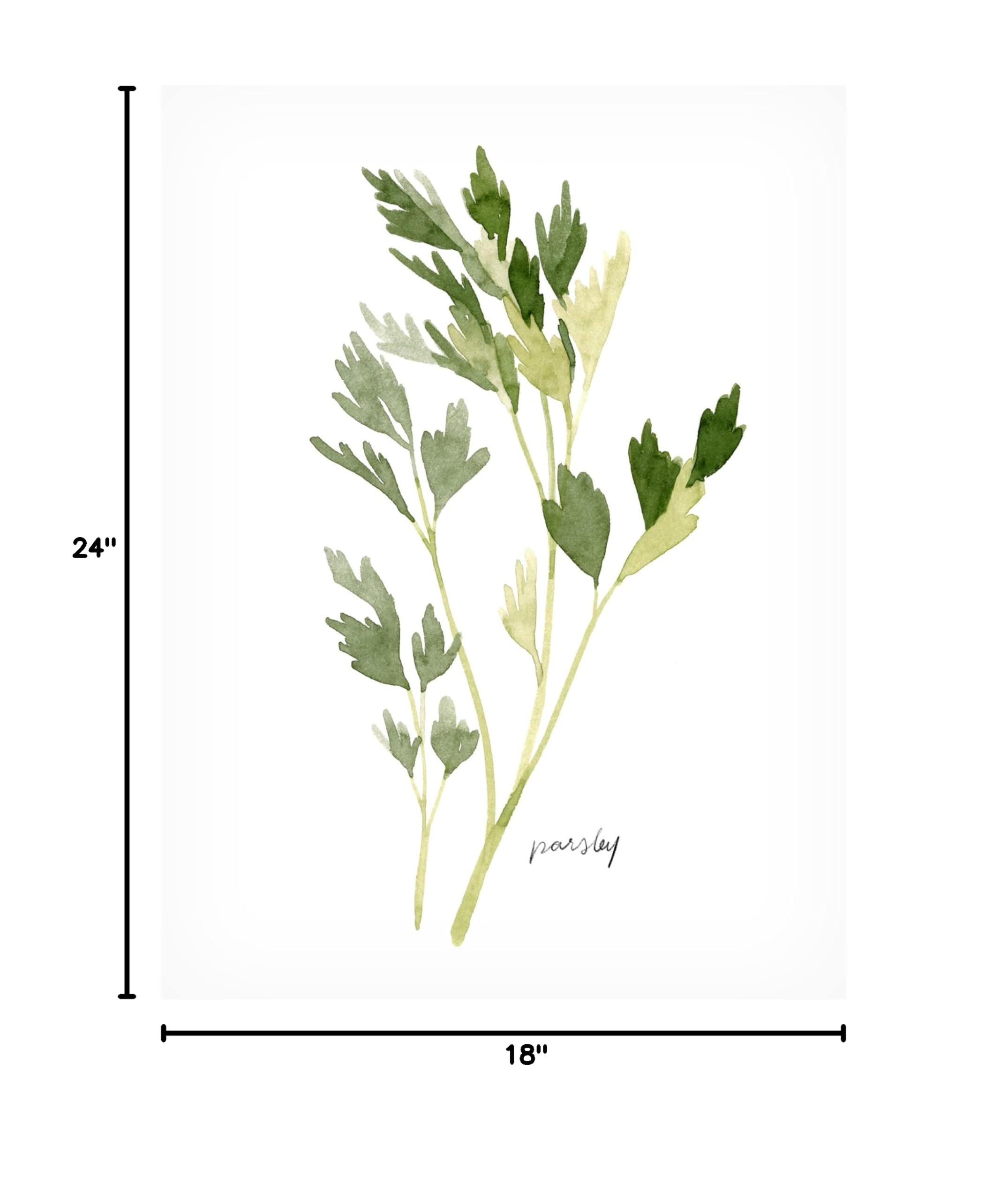 Emma Scarvey 'Herb Garden Sketches II' Canvas Wall Art Print - Botanical Kitchen Decor, Home Office & Living Room Decorations