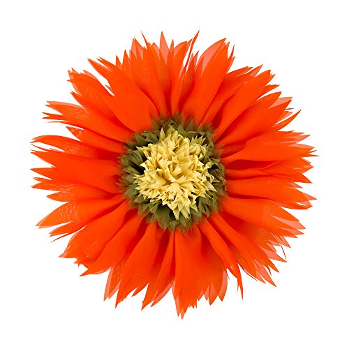 Orange Red