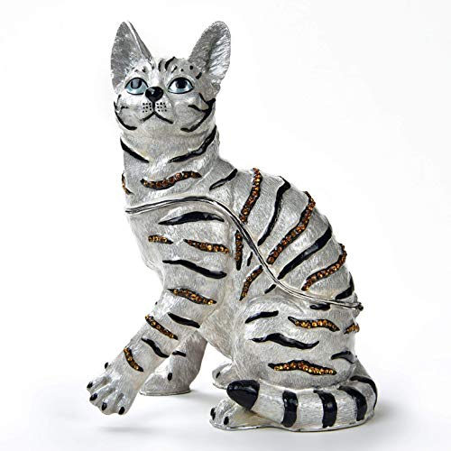 Striped Cat