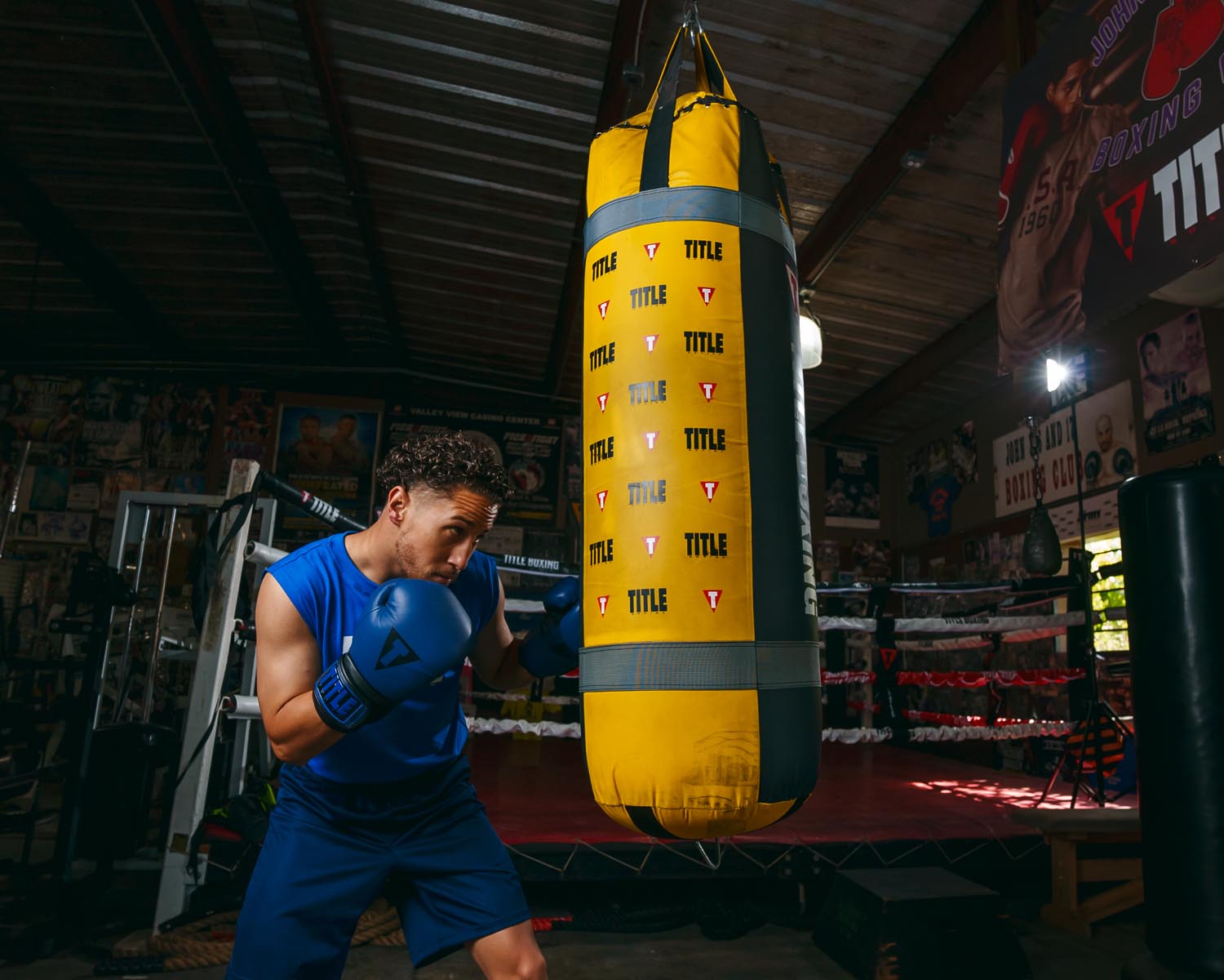 TITLE Boxing Dauntless Training Boxing Gloves for Men & Women - Premium MMA, Kickboxing, and Heavy Bag Workouts - Ideal for Gym, Home Training, and Fitness Enthusiasts