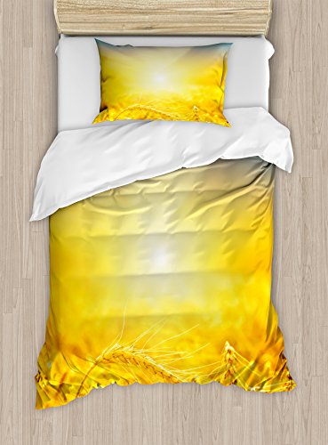 Earth Yellow Petrol Blue