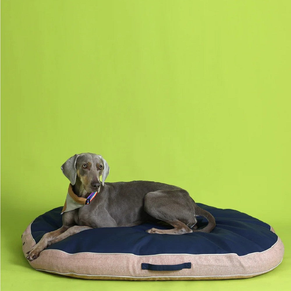 Beasty Pet Duo Bed - Soft & Durable Dog & Cat Bed for Large Pets - Perfect for Home, Crate & Travel Use