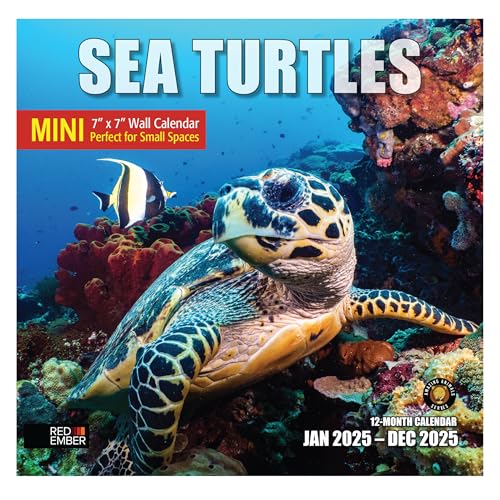 04 - Sea Turtles