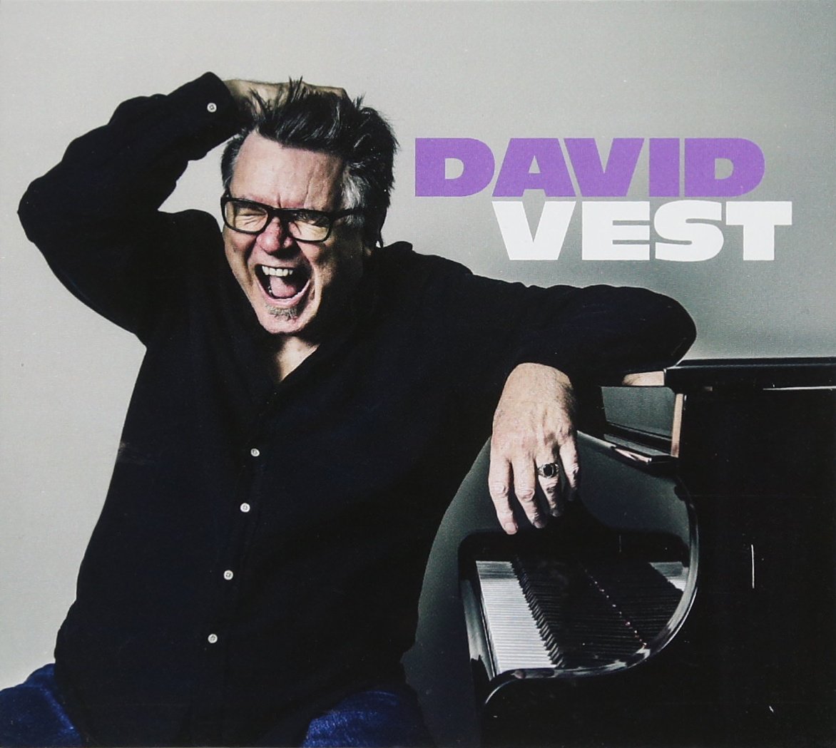 David Vest - Premium Men's Fashion Vest for Business & Casual Wear | Stylish & Comfortable for Office, Parties & Outdoor Events