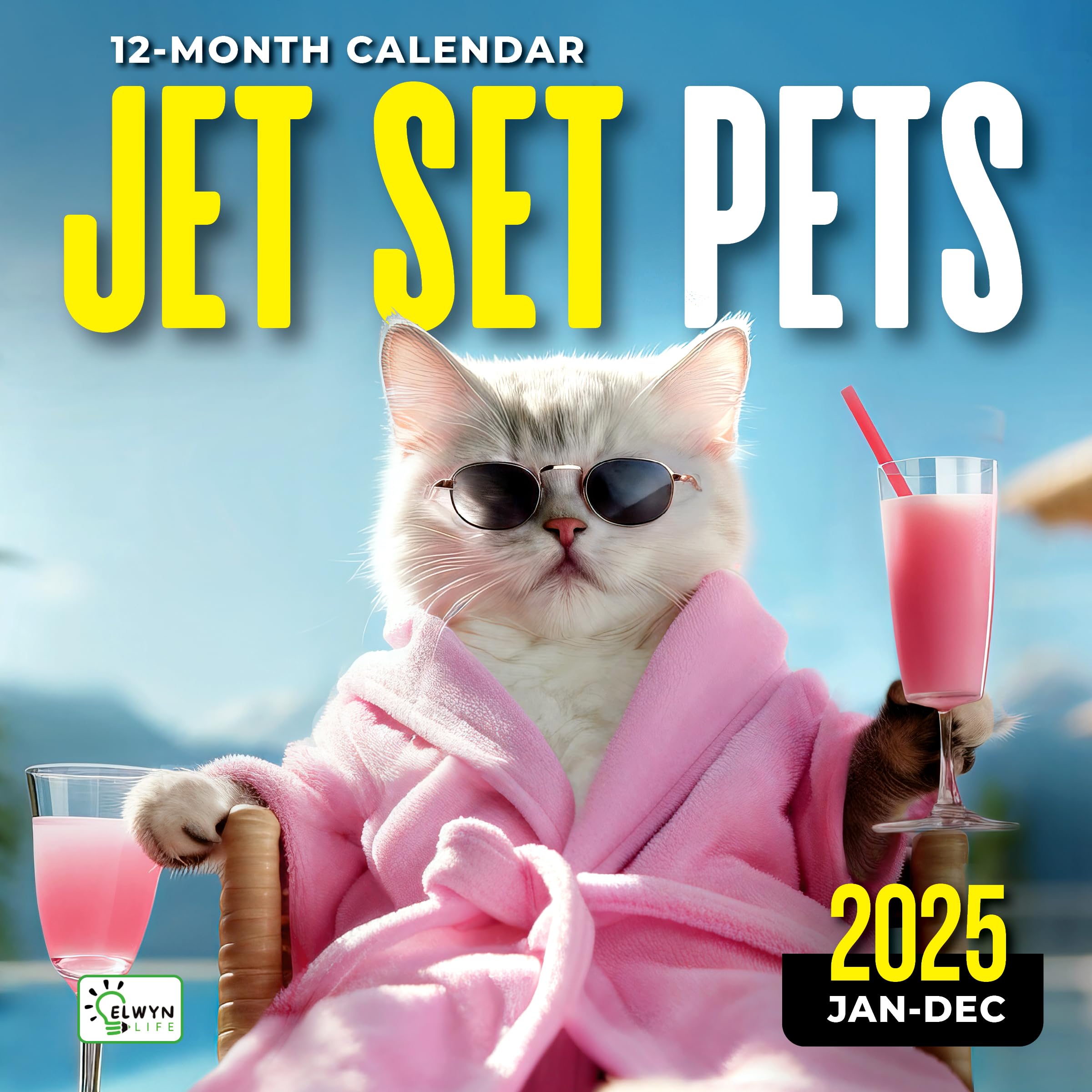 2025 Funny Dog & Cat Wall Calendar - 12 Month Large Planner for Office, Home & School | 12