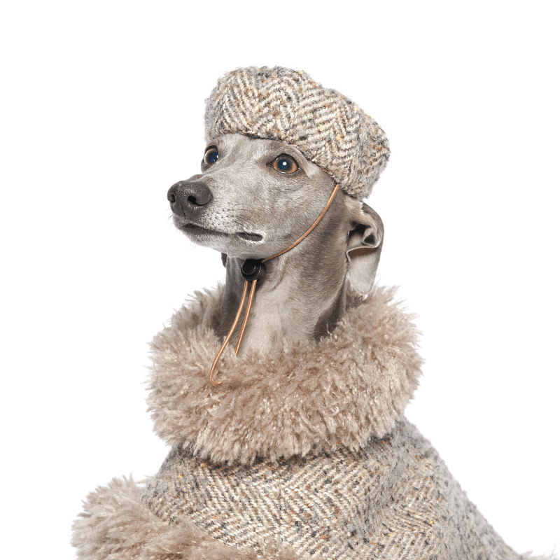 Stylish Dog Beret Hat for Small & Medium Breeds - Perfect for Pet Costumes, Photo Shoots & Special Occasions