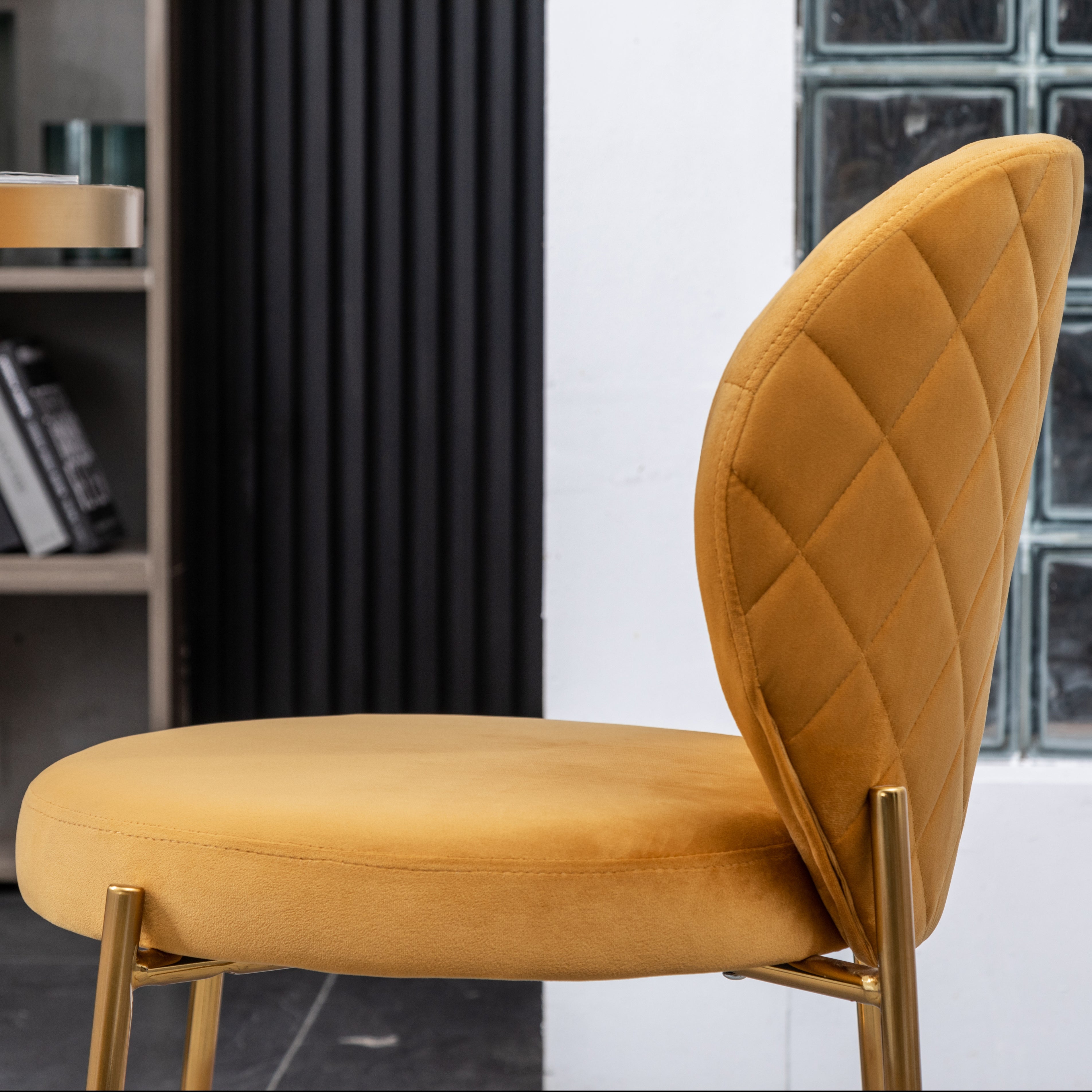 Roundhill Furniture Amoa Contemporary Velvet Upholstered Dining Chairs Set of 2 - Modern Kitchen & Dining Room Seating for Home & Restaurant