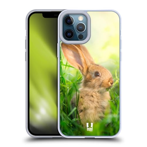 Little Easter Rabbit