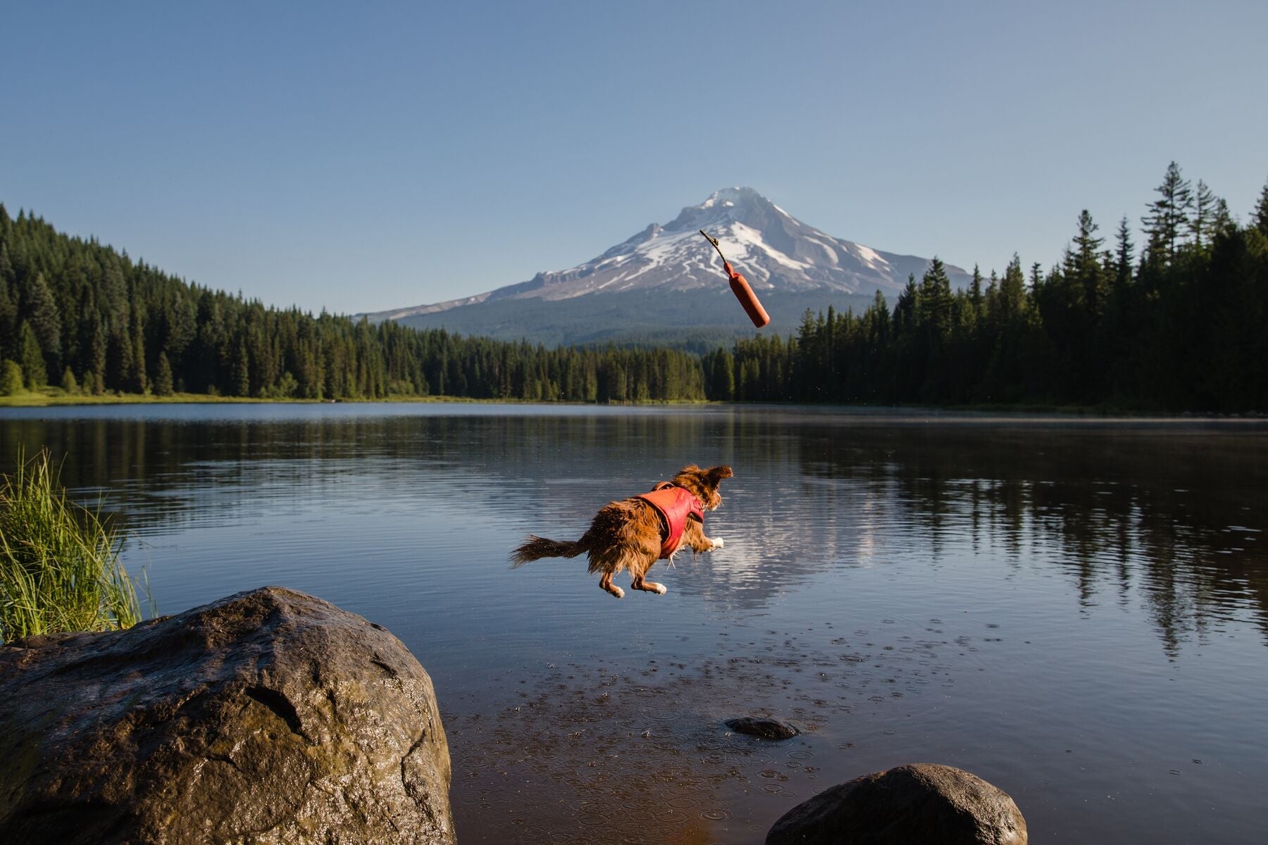 Ruffwear Lunker Floating Foam Dog Toy for Water Play - Campfire Orange, Durable & Fun Chew Toy for Swimming, Fetch & Outdoor Adventures
