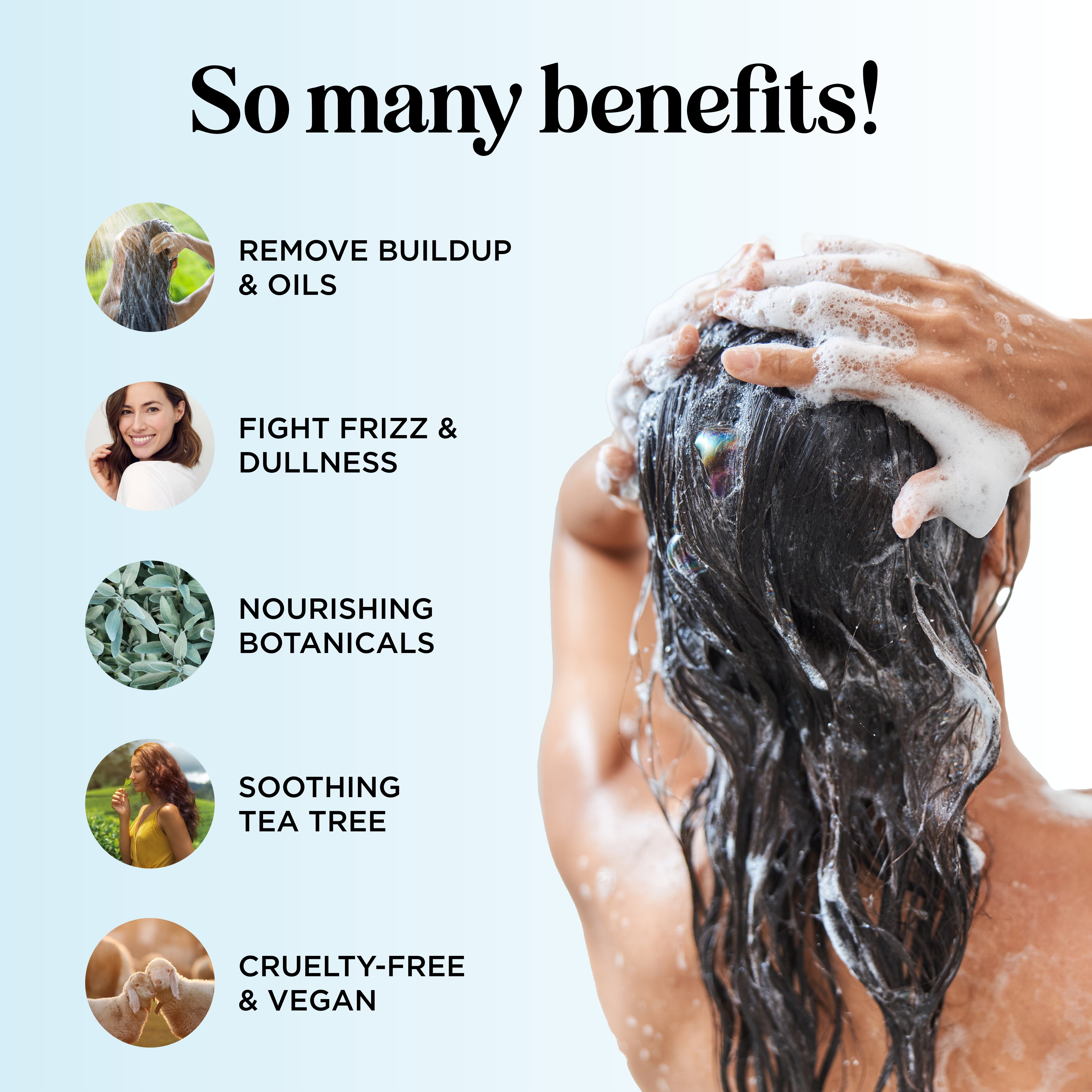 Tea Tree & Rosemary Shampoo for Hair Growth & Scalp Care - Natural Volumizing Shampoo for Thinning Hair - Daily Use for Men & Women - Perfect for Dry, Itchy Scalp & Dandruff Relief