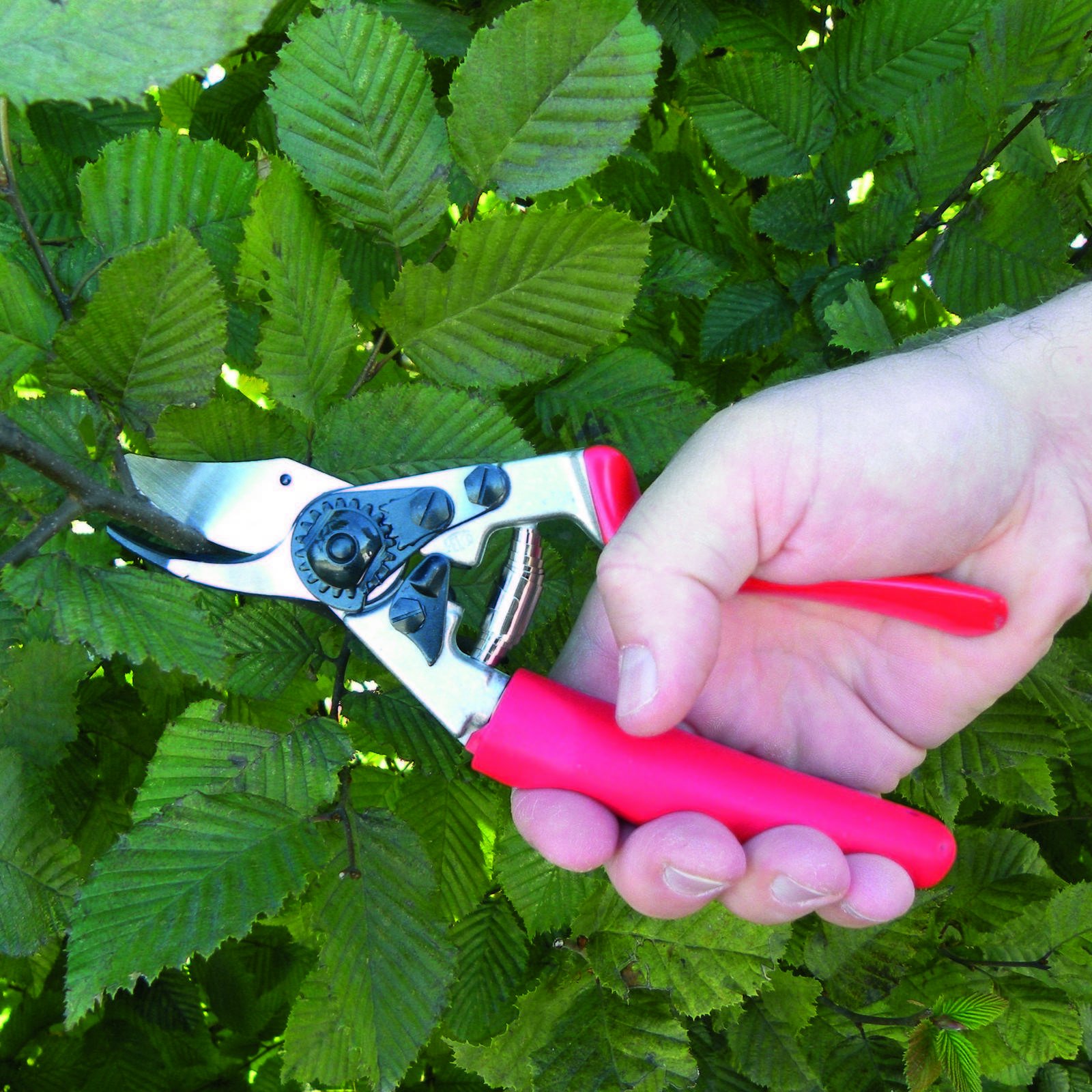Felco F-12 Pruning Shears - Swiss-Made High-Performance Garden Pruners with Steel Blades for Professional Landscaping & Home Gardening | Perfect for Trimming Trees, Shrubs & Flower Stems