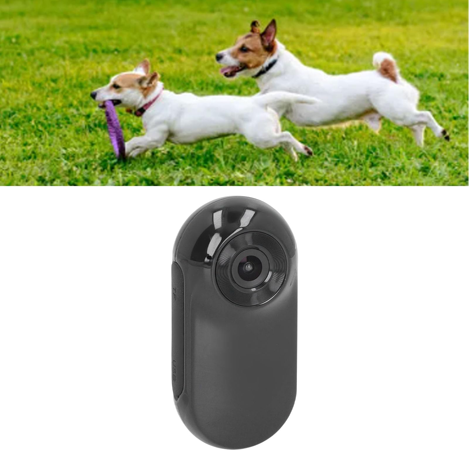 **Dog Collar Camera - 1080P HD Video & 4K Photo, 170° Wide Angle Pet Action Camera for Outdoor Adventures - Perfect for Hiking, Running & Training with Dogs & Cats**