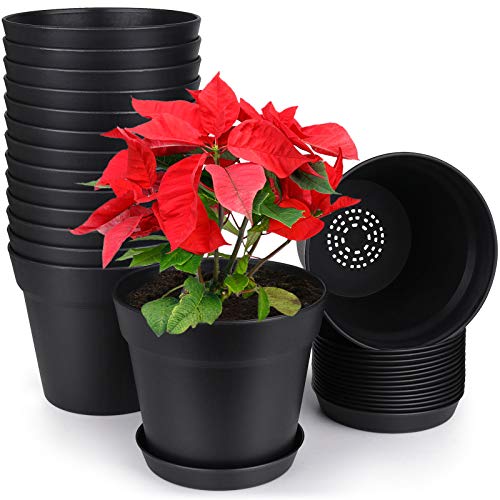 Black-15pcs