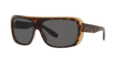 Havana on Transparent Brown/Dark Grey