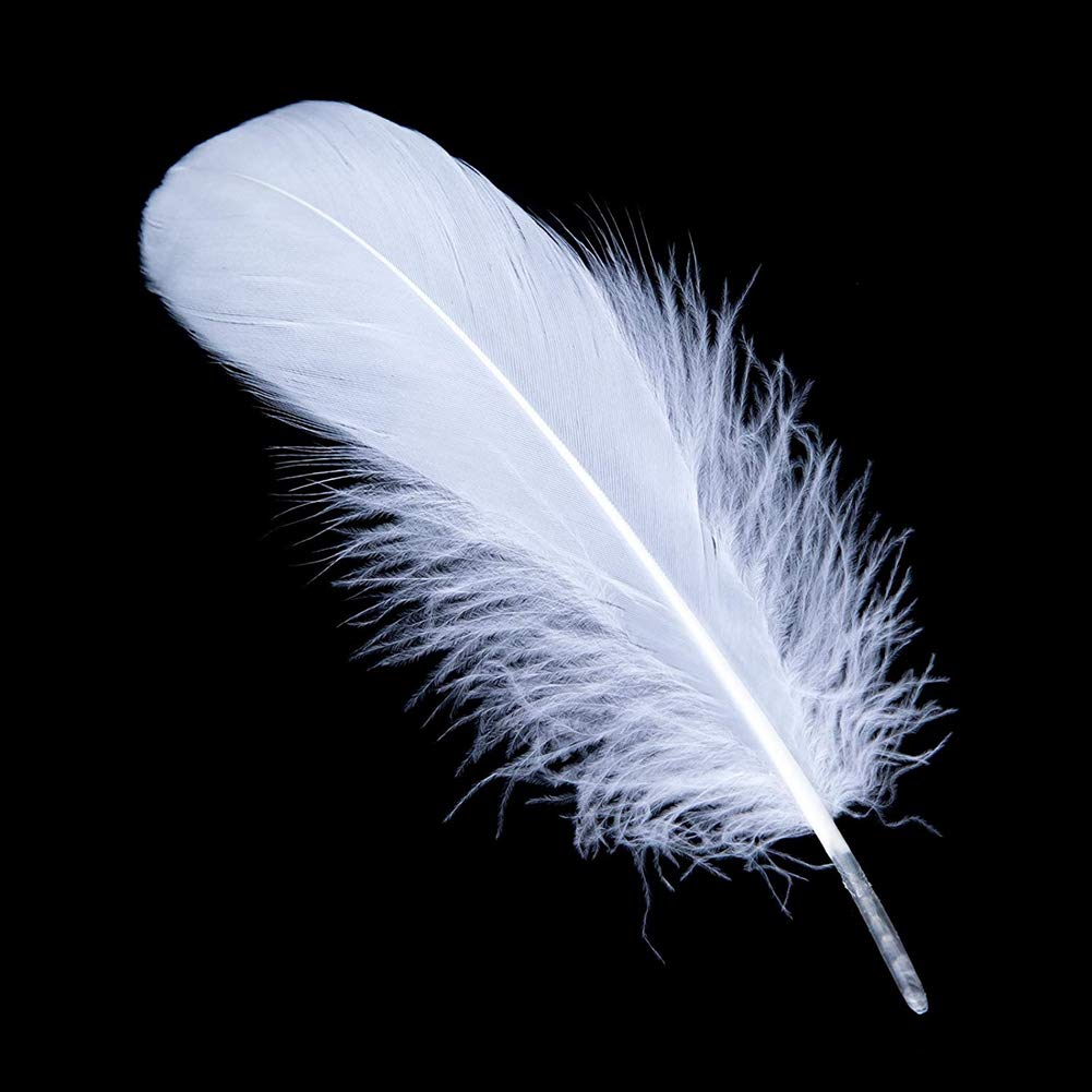 Premium 100-Pack Natural White Goose Feathers for Clothing Accessories, DIY Crafts, Costumes & Home Decor - Soft, Lightweight & Versatile