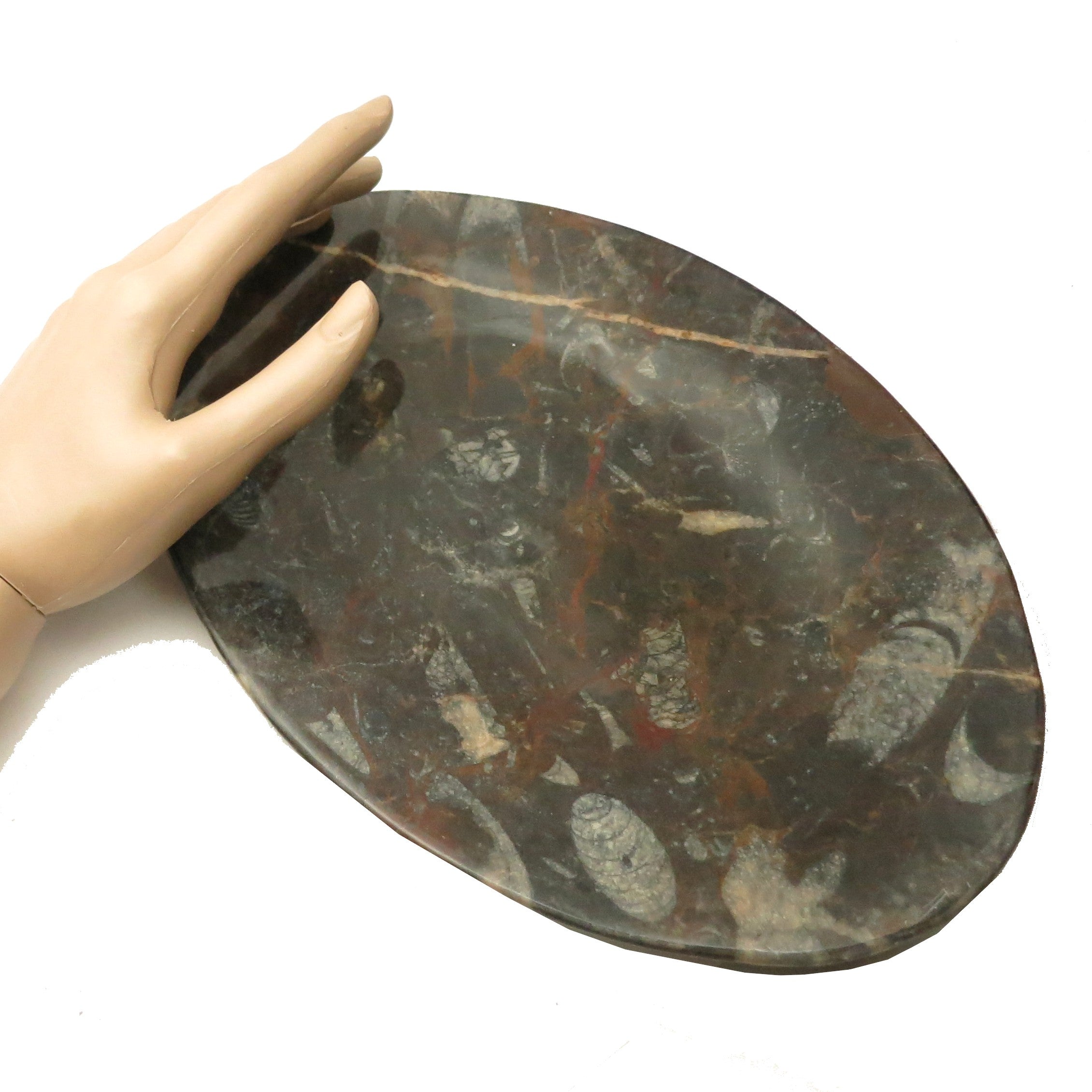 Orthoceras Fossil Black Stone Oval Serving Platter - Elegant Hostess Tray for Entertaining, Dinner Parties & Home Decor