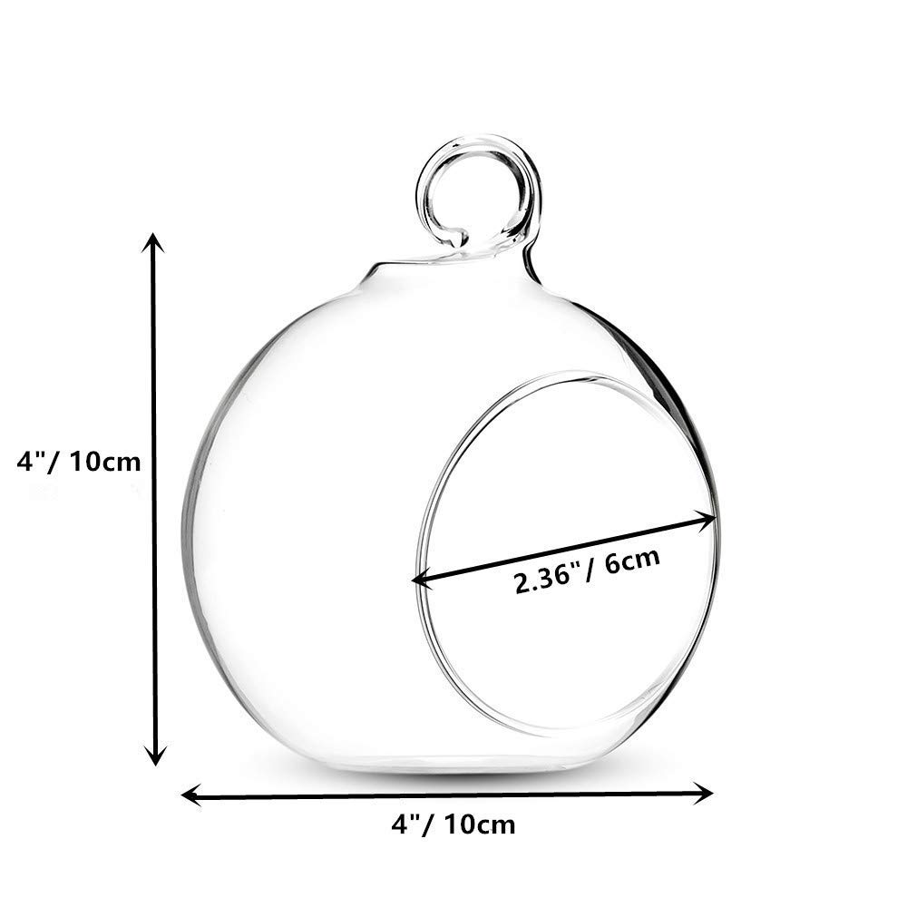 4 Pcs Hanging Glass Terrarium Planters - 4