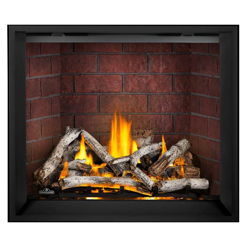 Napoleon Elevation X 42 Inch Direct Vent Gas Fireplace - EX42 | Indoor Heating for Living Rooms & Bedrooms | Modern Home Decor