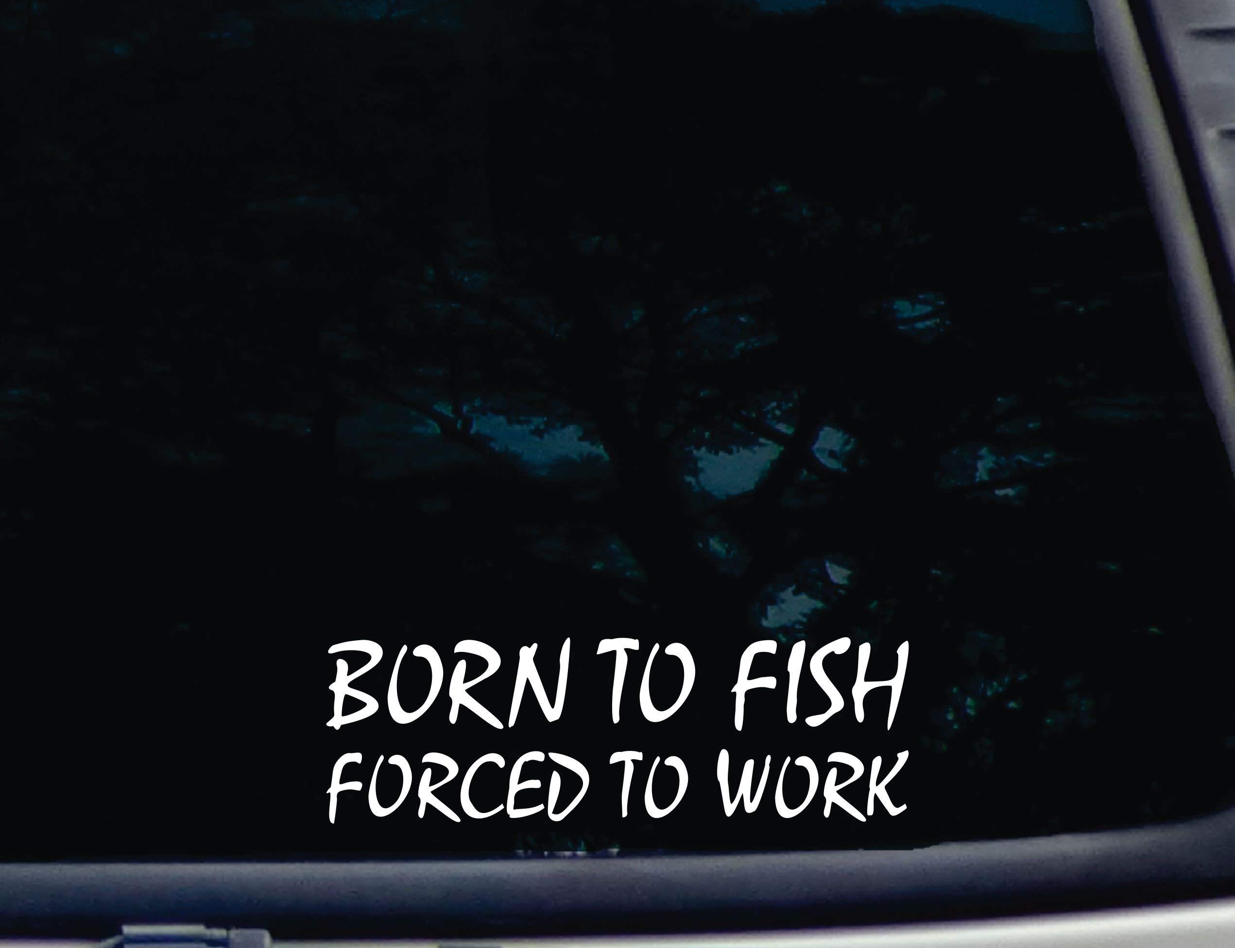 Born to Fish Forced to Work - 8