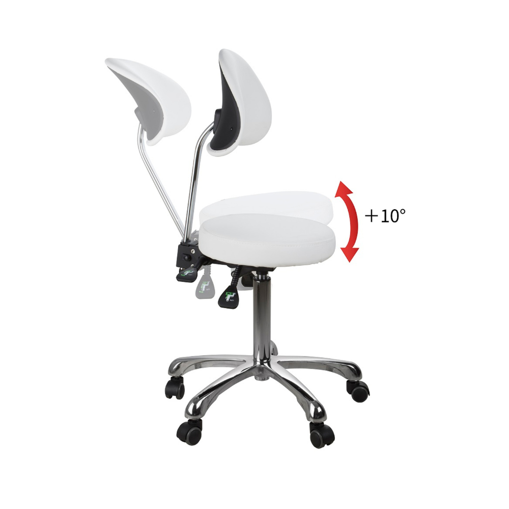 Silverfox Rolling Stool with Back Support - Adjustable Height 1025D Ergonomic Rolling Chair for Salon, Tattoo, Massage & Office Use - Heavy Duty Swivel Stool with Wheels for Beauty Professionals & Home