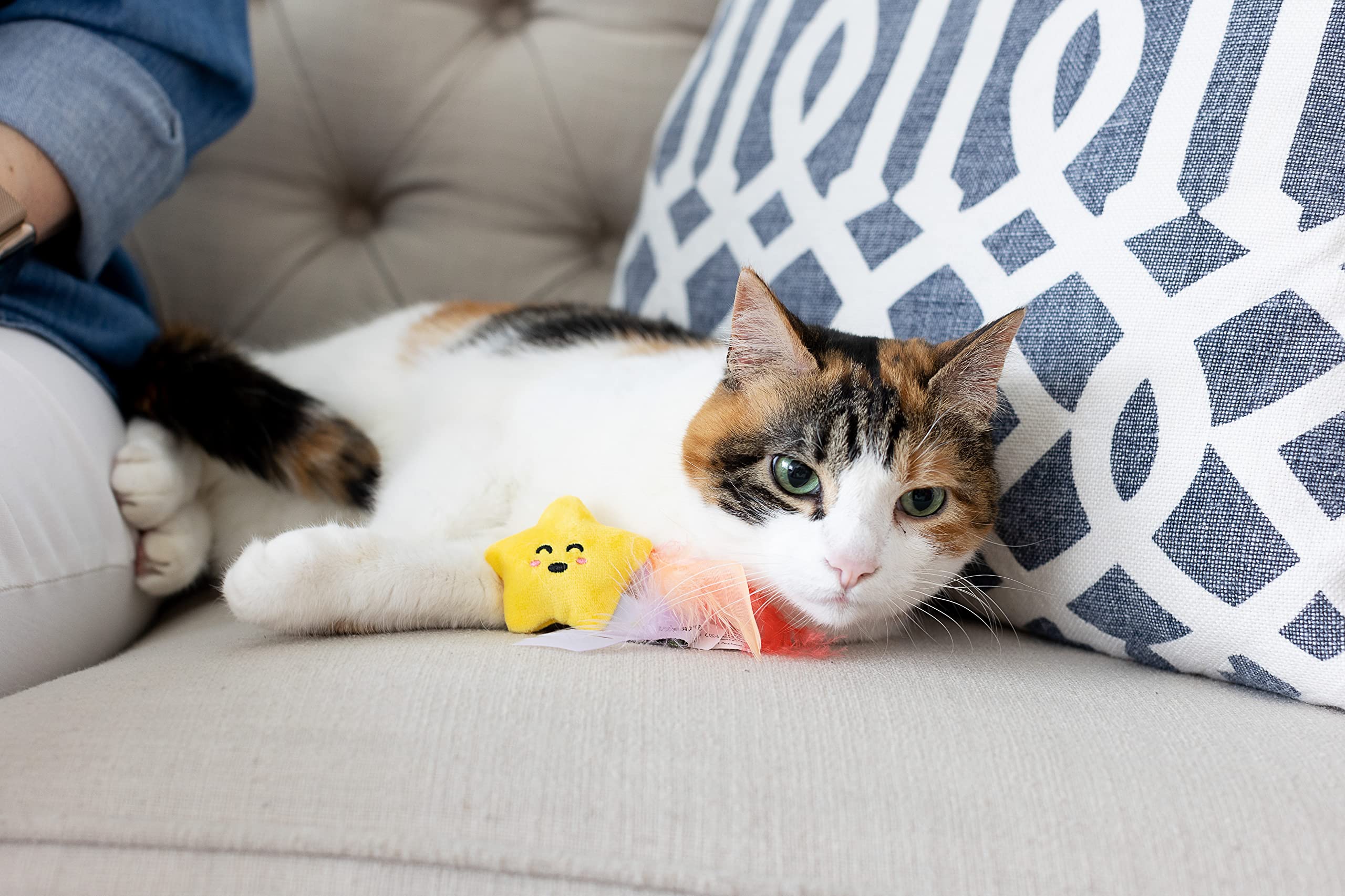 Pawstronaut Cat Toy Set with Feather Teaser & Rattle - Fun Playtime for Cats